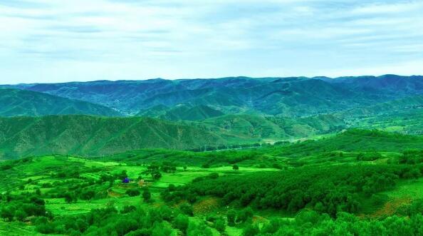 夏季湿气重，常用这种食材煮汤，健脾祛湿2